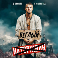 . Беглый