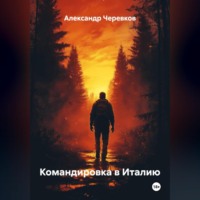Александр Черевков. Командировка в Италию