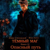 Алекс Ключевской (Лёха). Тёмный маг. Книга 12. Опасный путь
