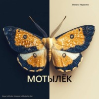 Елена Lu Ивушкина. Мотылёк