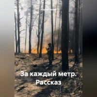 Андрей Лисьев. За каждый метр. Рассказ