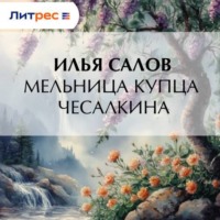 Илья Салов. Мельница купца Чесалкина