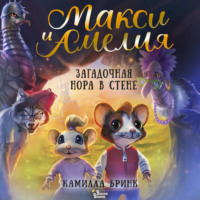 Камилла Бринк. Макси и Амелия. Загадочная нора в стене