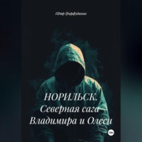 Пётр Фарфудинов. НОРИЛЬСК. Северная сага Владимира и Олеси