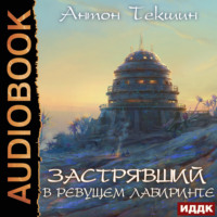 Антон Текшин. Застрявший. Книга 4. Застрявший в Ревущем лабиринте