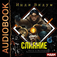 Инди Видум. Петя и Валерон. Книга 3. Слияние