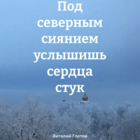 Виталий Глотов. Под северным сиянием услышишь сердца стук