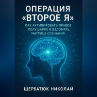 Николай Щербатюк. Операция «Второе Я»: Как активировать правое полушарие и взломать Матрицу сознания