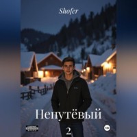 Shofer. Непутёвый 2