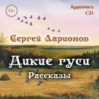 Сергей Степанович Ларионов. Дикие гуси. Рассказы