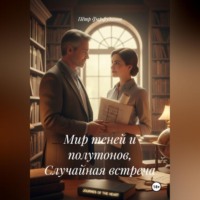 Пётр Фарфудинов. Мир теней и полутонов, Случайная встреча