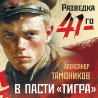 Александр Тамоников. В пасти «тигра»