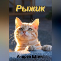 Андрей Штин. Рыжик