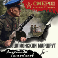 Александр Тамоников. Шпионский маршрут