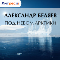 . Под небом Арктики