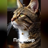 Ю Ч. Пломбир