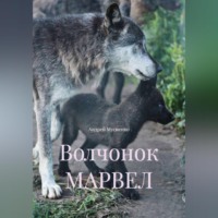Андрей Валерьевич Мусиенко. Волчонок МАРВЕЛ