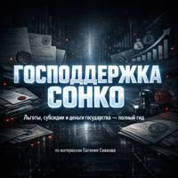 . СОНКО-2026: как получить поддержку и не попасть под проверку