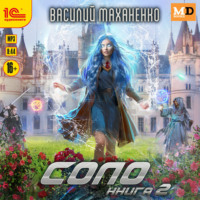 Василий Маханенко. Соло. Книга 2