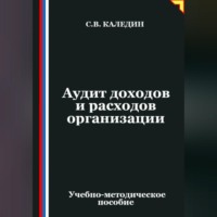 . Аудит доходов и расходов организации