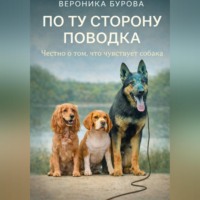 . По ту сторону поводка: честно о том, что чувствует собака.