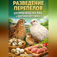 . Разведение перепелов для производства яиц и диетического мяса