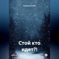 Владимир Адександрович Косумян. Стой кто идет?!