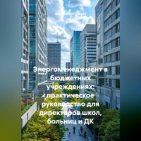 . Энергоменеджмент в бюджетных учреждениях: практическое руководство для директоров школ, больниц и ДК