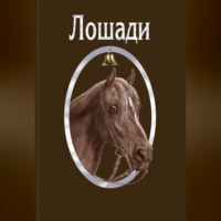 Сборник. Лошади