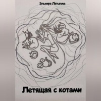 Эльмира Латыпова. Летящая с котами
