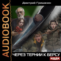 Дмитрий Гришанин. Берс – 4. Через тернии к берсу