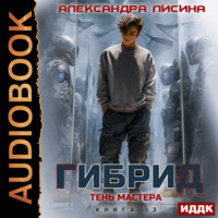 . Гибрид. Книга 13. Тень мастера