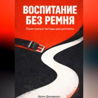 Артем Демиденко. Воспитание без ремня: Позитивные методы дисциплины
