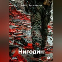 Денис Знобишин. Нигодин