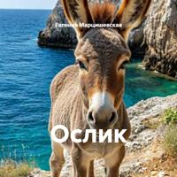 Евгения Марцишевская. Ослик
