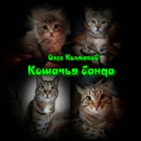 Олег Колмаков. Кошачья банда