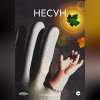 Геннадий Колодкин. НЕСУН