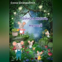 Елена Шкандыбина. Тайная жизнь мышей