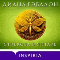 . Стрекоза в янтаре