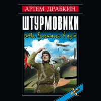 . Штурмовики. «Мы взлетали в ад»