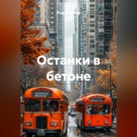 Радик Яхин. Останки в бетоне