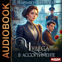 Елизавета Шумская. Чудеса в ассортименте