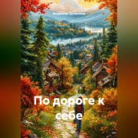 Владимир Дусикенов. По дороге к себе