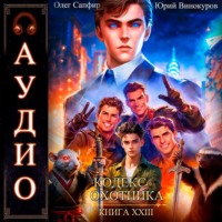 Юрий Винокуров. Кодекс Охотника. Книга 23