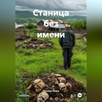Татьяна Германовна Осина. Станица без имени