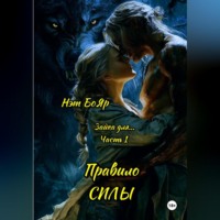 Нэт Бояр. Зайка для... Часть 1. Правило силы