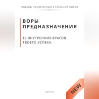 Роберт Стен. Воры предназначения. 12 внутренних врагов твоего успеха