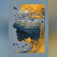 Роман Фрост. Мышление: Перезагрузка
