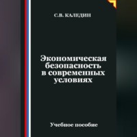 . Экономическая безопасность в современных условиях