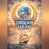 Алексей Юрьевич Щинников. Общая цель